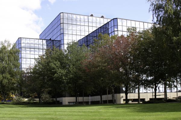 Commercial Tree Trimming in Nashua