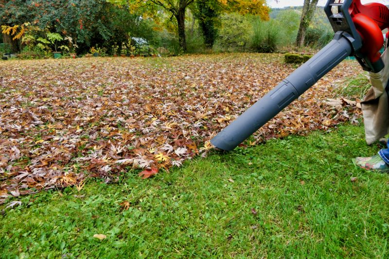 Benefits of Professional Leaf Removal