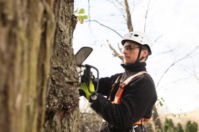 Equipment used in tree trimming